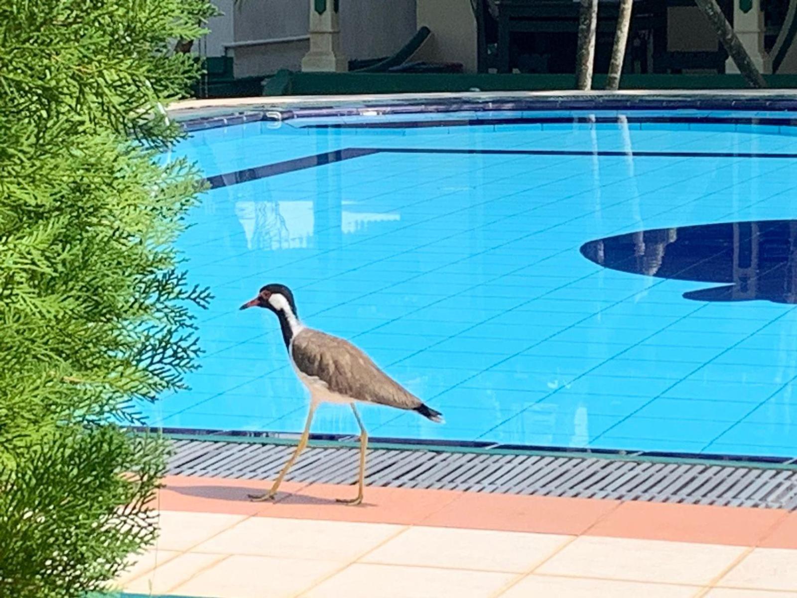 Sagarika Beach Hotel Moragalla Екстериор снимка
